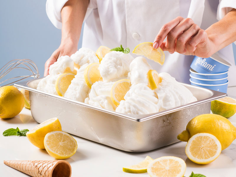 preparati e basi per gelato alla frutta